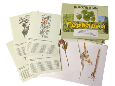 Гербарий "Систематика растений. Семейство Бобовые. Злаки" (раздаточный)